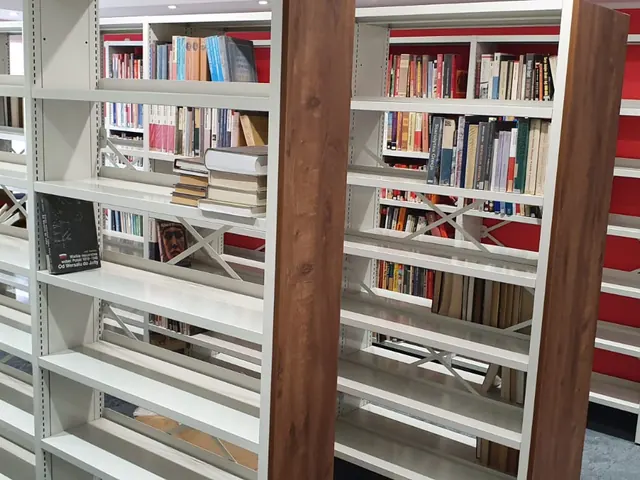 Library shelving filled with books